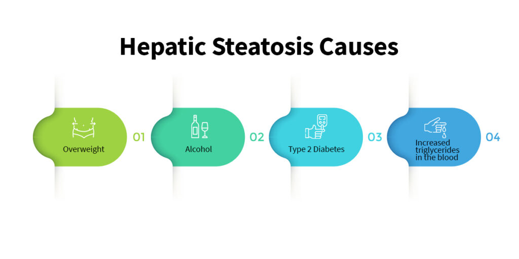 Hepatic Steatosis Causes